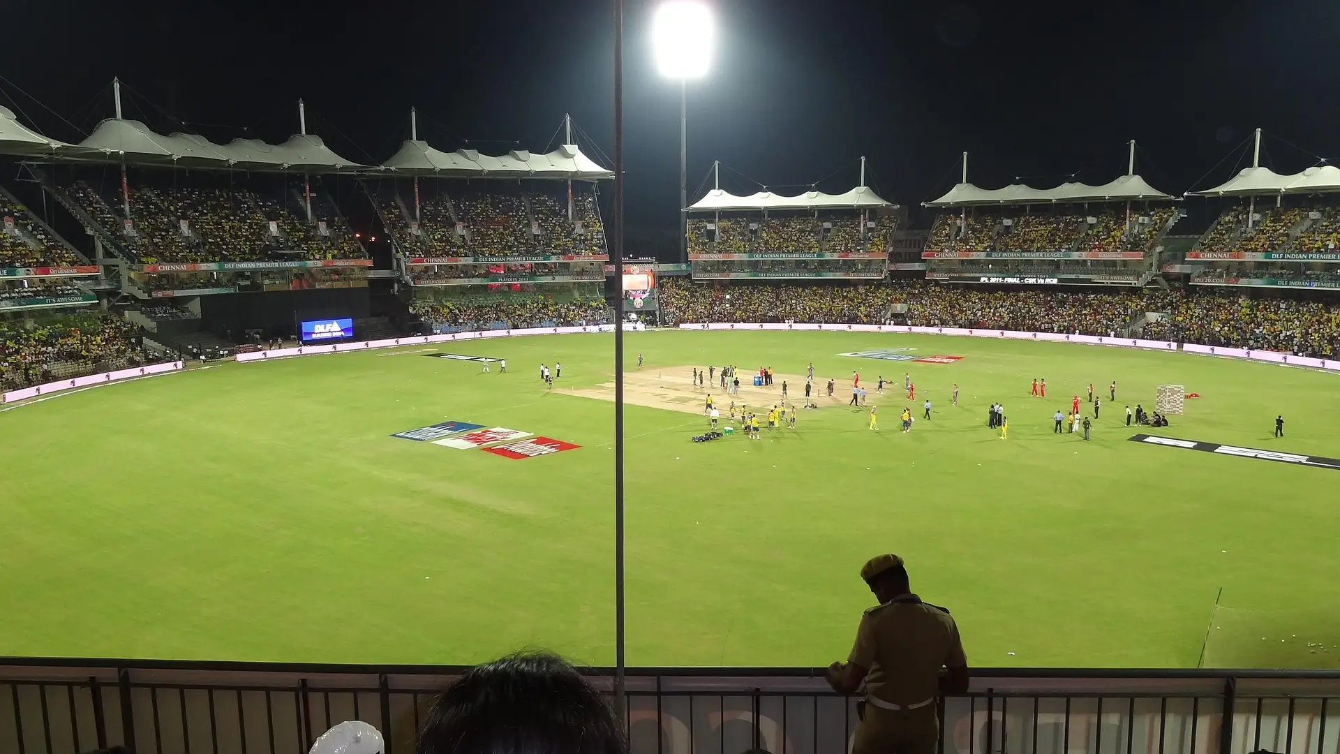 Cricket Sale